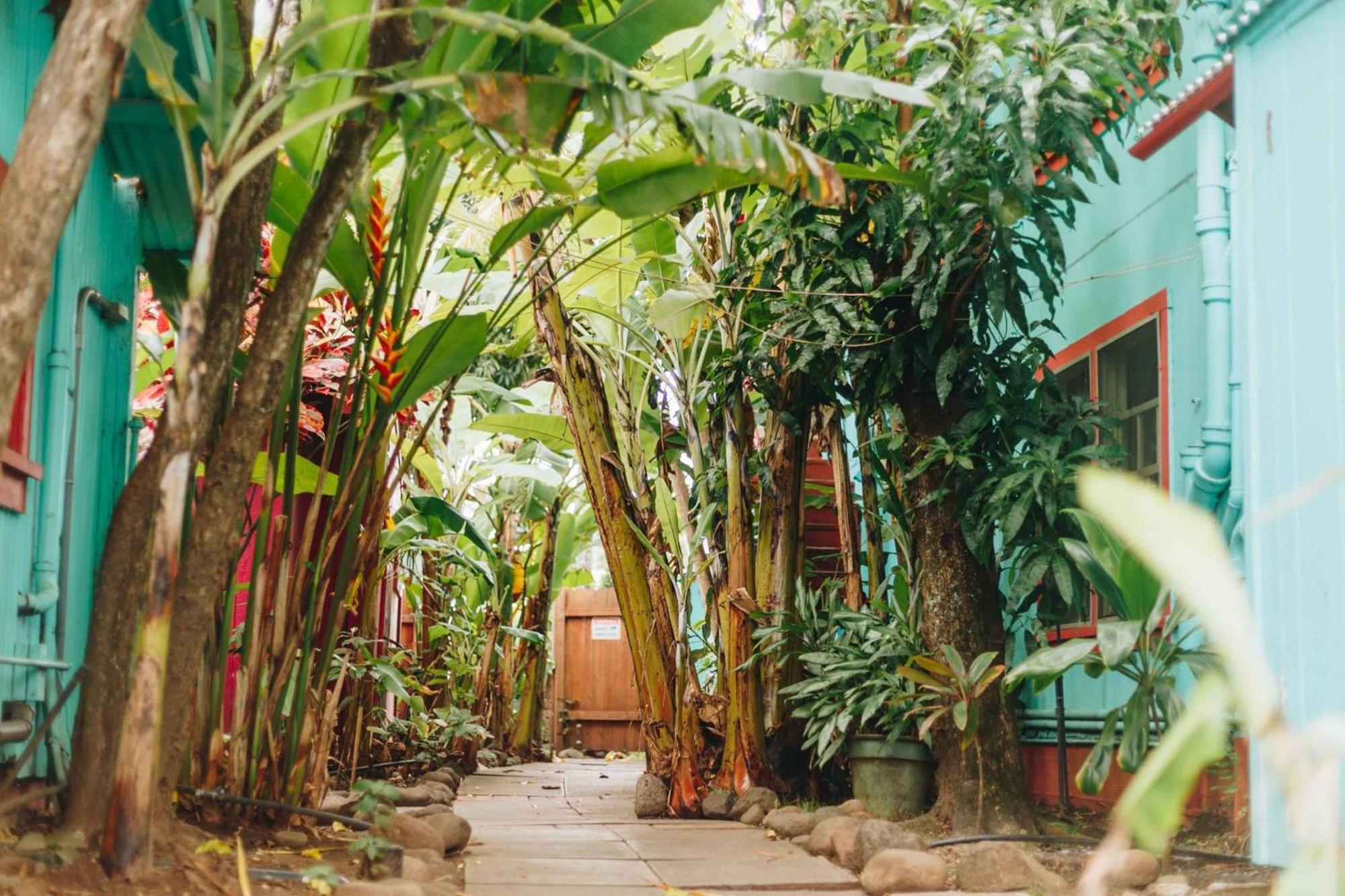 Banana Bungalow Maui Hostel Wailuku Bagian luar foto