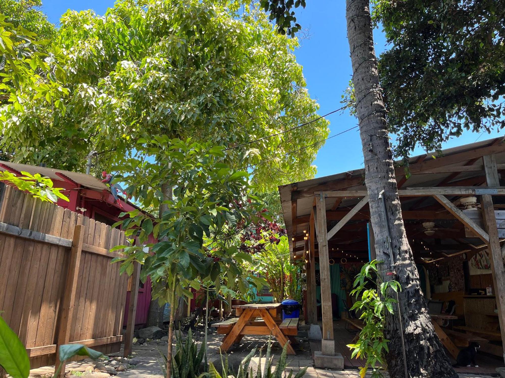 Banana Bungalow Maui Hostel Wailuku Bagian luar foto